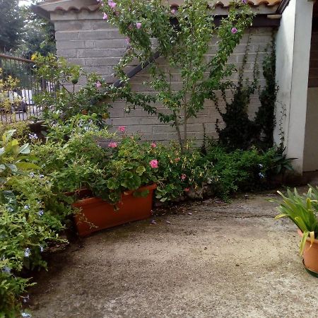 Il Cactus Bed & Breakfast San Giovanni Incarico ภายนอก รูปภาพ